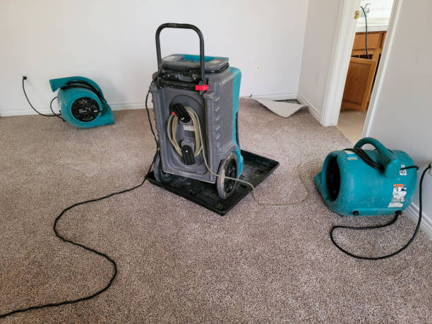 Best Commercial water damage restoration  in Maugansville, MD