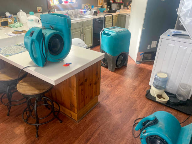 Best Water damage restoration near me  in Maugansville, MD