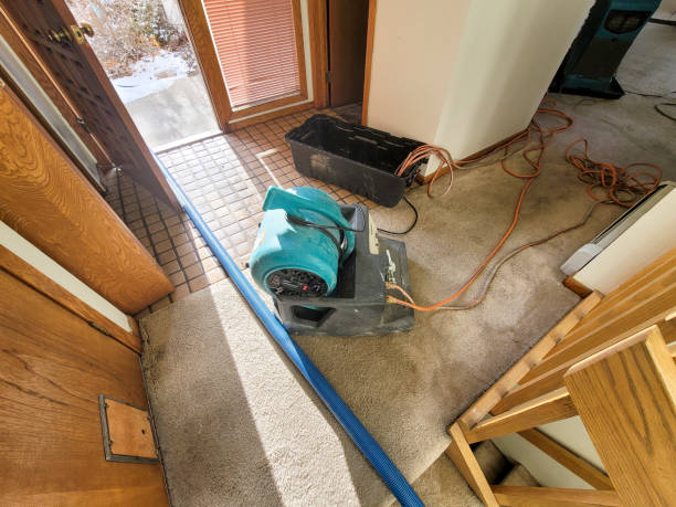 Best Water damage cleanup near me  in Maugansville, MD