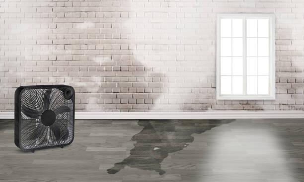 Best Water damage restoration near me  in Maugansville, MD