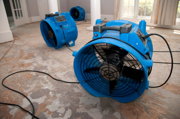 Best Local water damage restoration  in Maugansville, MD