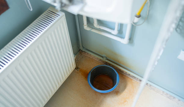 Best Ceiling water damage repair  in Maugansville, MD