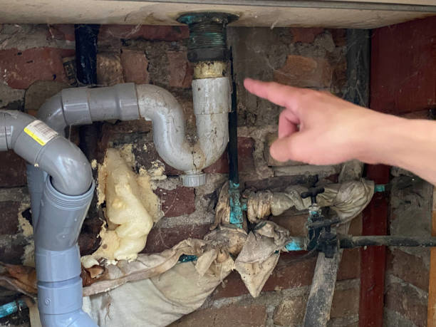 Best Ceiling water damage repair  in Maugansville, MD