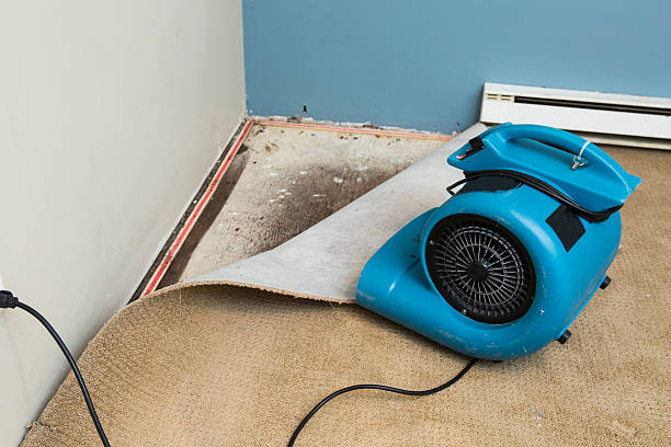 Reliable MD Water damage restoration Solutions