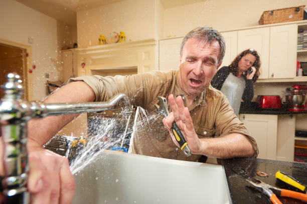 Best Mold removal after water damage  in Maugansville, MD